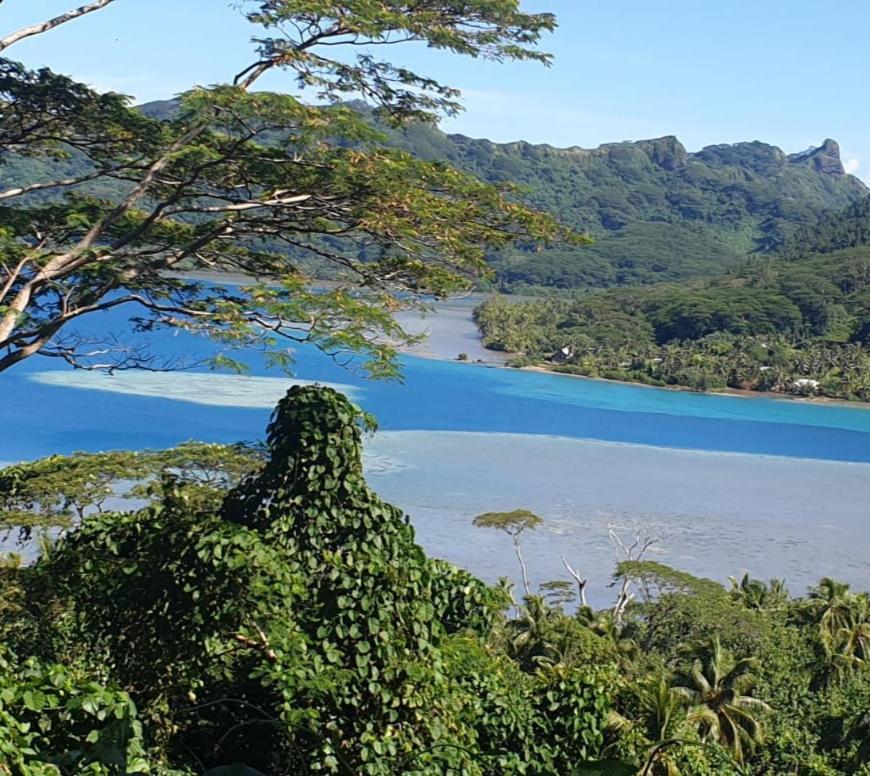 Huahine Manta Lodge Avec 4X4 Optionnel Haapu Luaran gambar