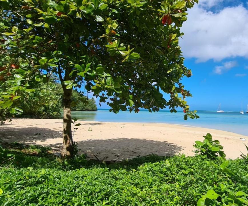 Huahine Manta Lodge Avec 4X4 Optionnel Haapu Luaran gambar