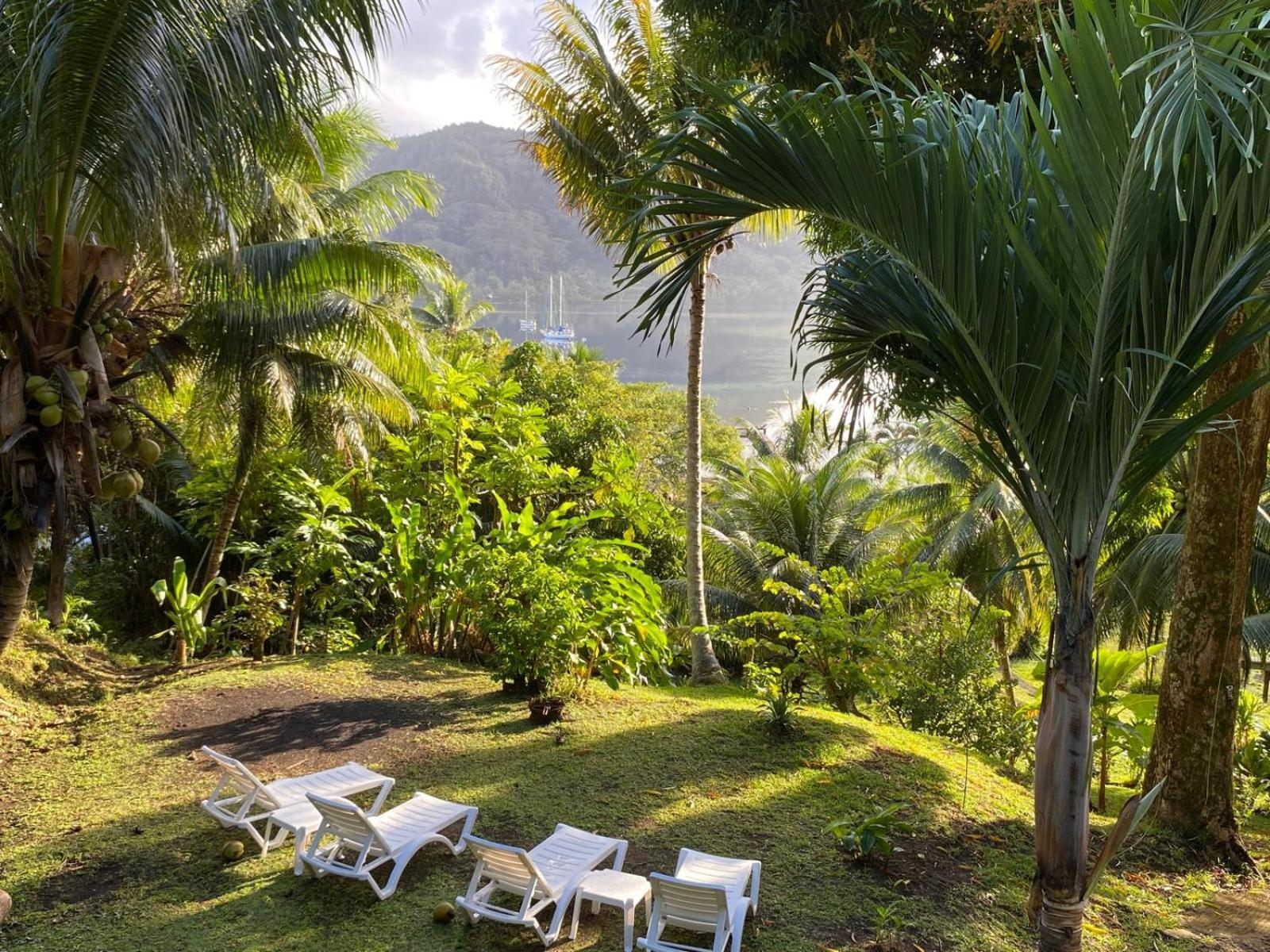 Huahine Manta Lodge Avec 4X4 Optionnel Haapu Luaran gambar