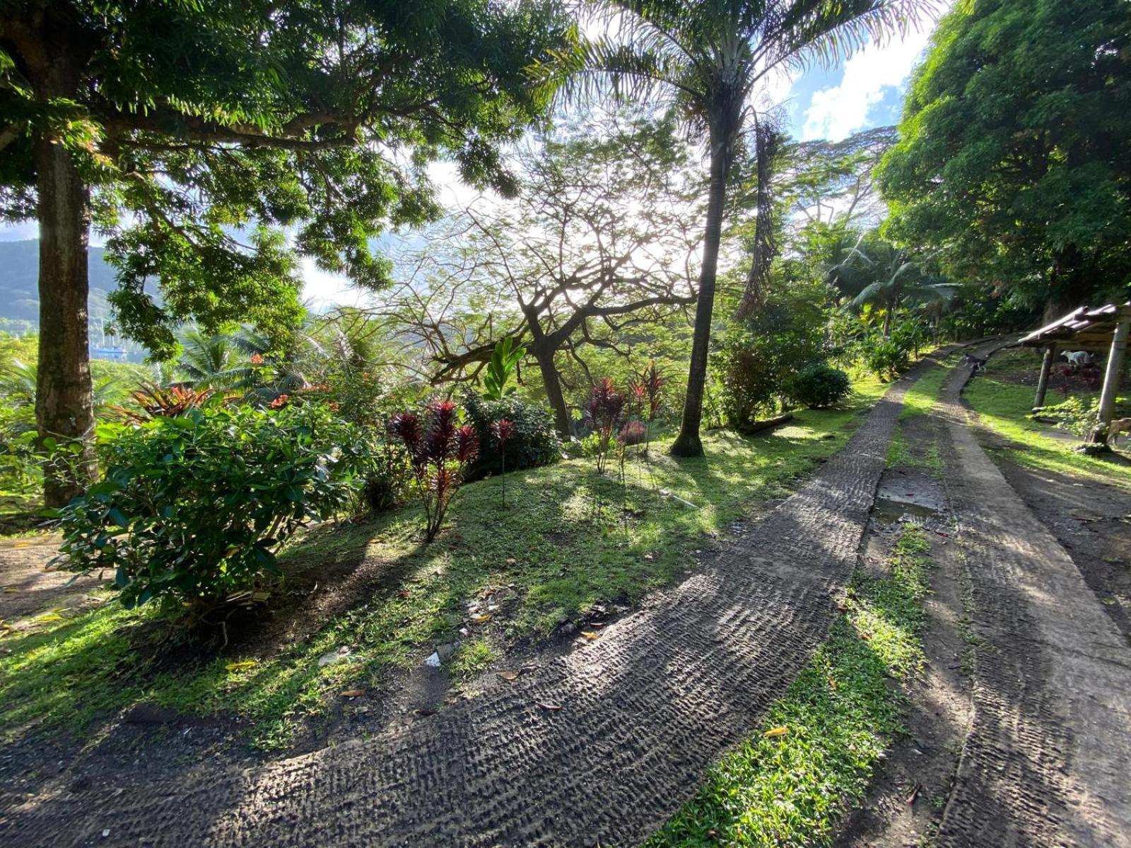Huahine Manta Lodge Avec 4X4 Optionnel Haapu Luaran gambar
