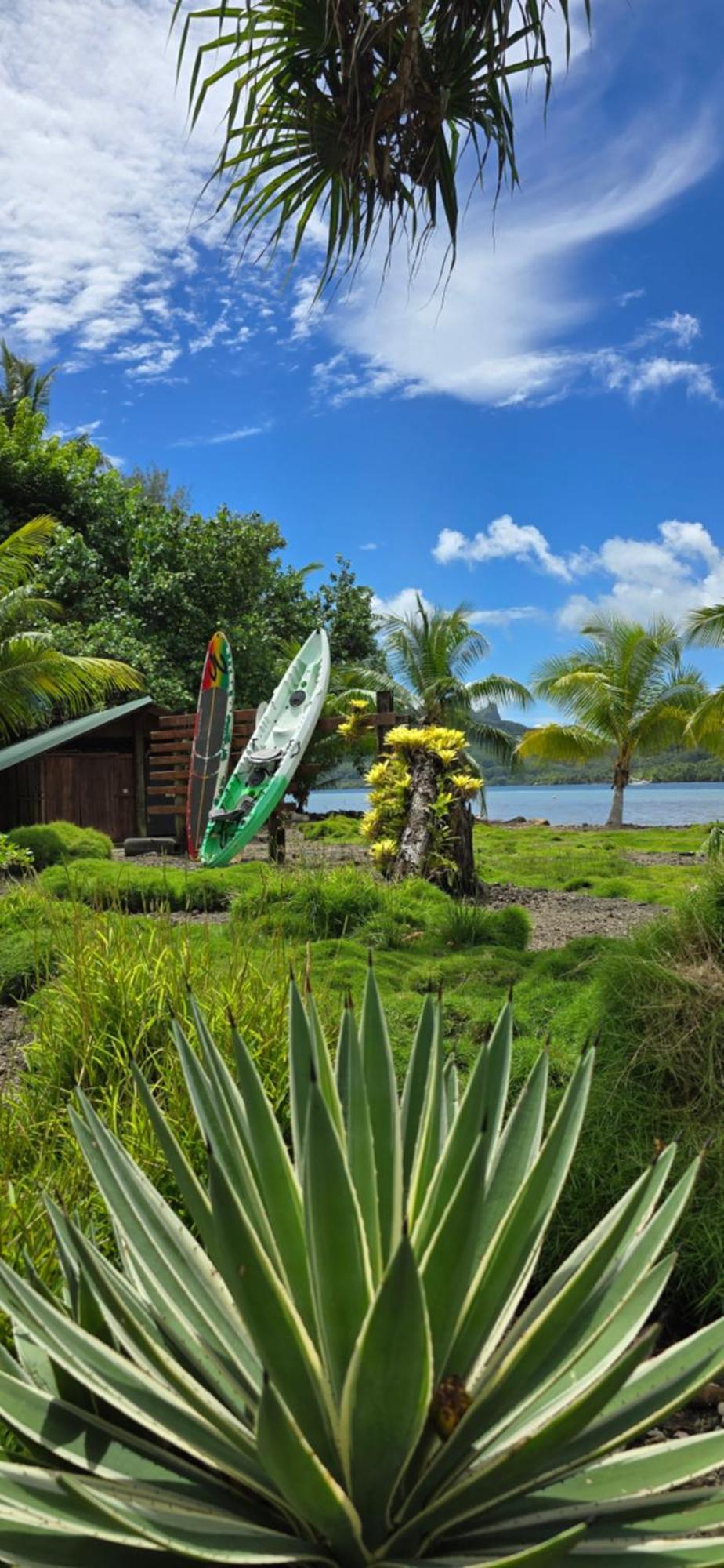 Huahine Manta Lodge Avec 4X4 Optionnel Haapu Luaran gambar